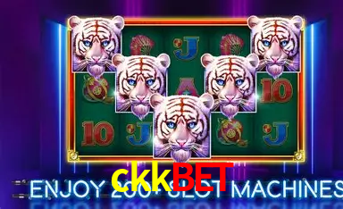 Apostas Esportivas na ckkbet: Um Guia Completo